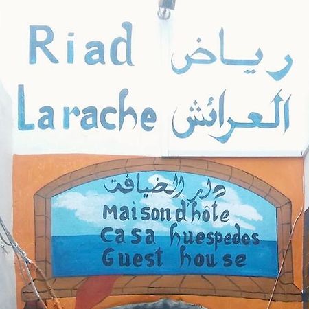 Riad Эль-Араиш Экстерьер фото